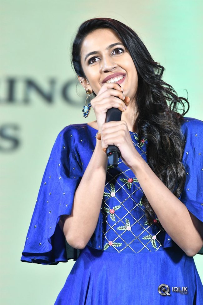 Naa-Peru-Surya-Naa-Illu-India-Pre-Release-Event-Photos